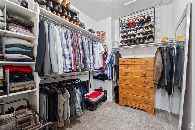 3352 N 200 W, Lehi, UT 84043 - spacious closet featuring carpet floors and attic access