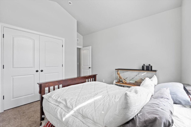3352 N 200 W, Lehi, UT 84043 - bedroom featuring carpet, vaulted ceiling, and a closet