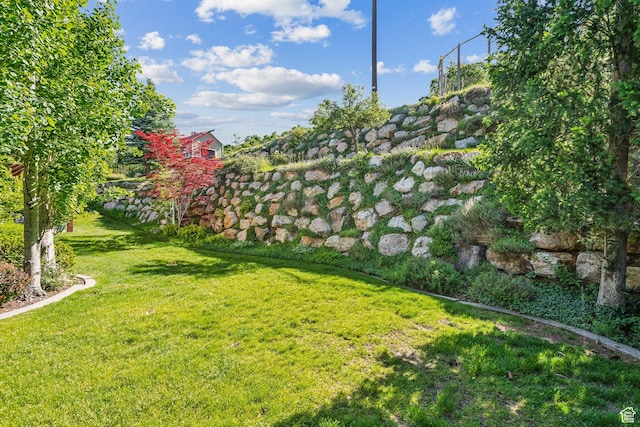 603 S Temple Hill Cir E, Bountiful, UT 84010 - view of green lawn