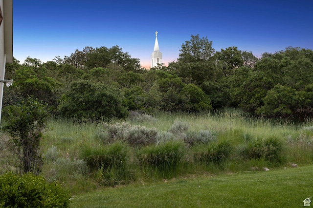 603 S Temple Hill Cir E, Bountiful, UT 84010 - view of nature