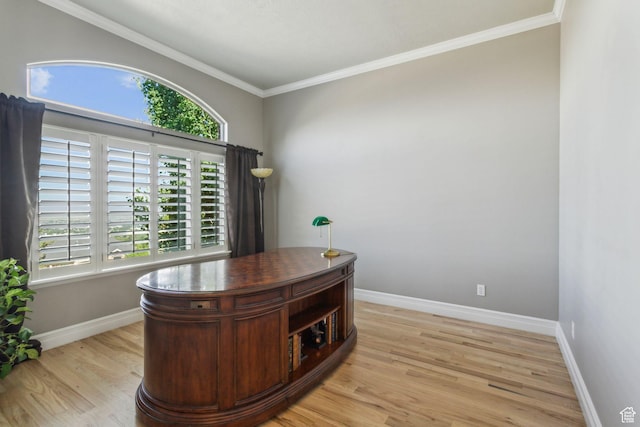 603 S Temple Hill Cir E, Bountiful, UT 84010 - office area featuring plenty of natural light, light wood-type flooring, and ornamental molding