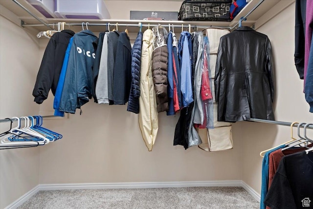 938 E Bernay Cir, Sandy, UT 84094 - walk in closet with carpet