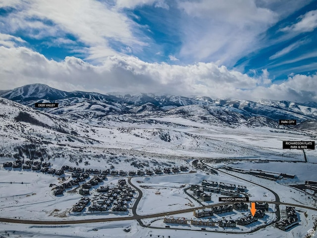 1097 W Wasatch Spring Rd, Kamas, UT 84036 - mountain view