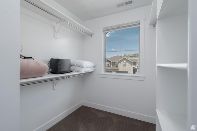 1097 W Wasatch Spring Rd, Kamas, UT 84036 - spacious closet with dark colored carpet