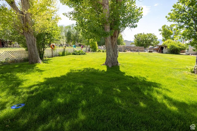 40 S Main St, Glenwood, UT 84730 - view of yard