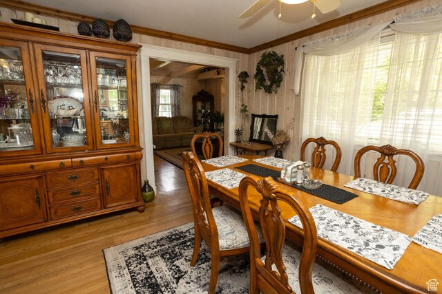 40 S Main St, Glenwood, UT 84730 - dining space with crown molding, light wood-style floors, and a ceiling fan