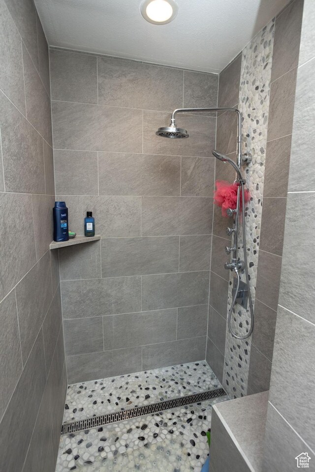 40 S Main St, Glenwood, UT 84730 - bathroom with tiled shower