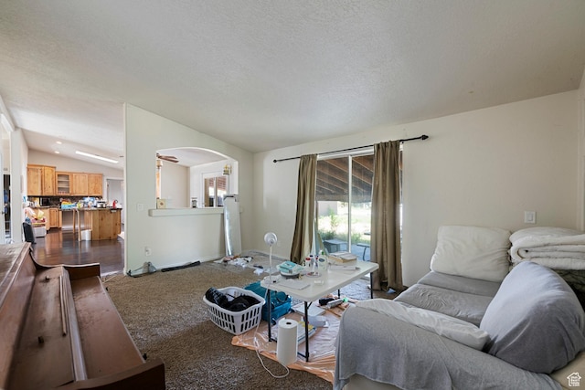 2554 S Chesterfield St W, West Valley City, UT 84119 - living room with arched walkways, lofted ceiling, a textured ceiling, and dark carpet