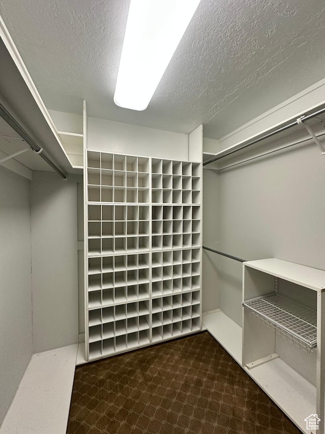 241 N Vine St W Unit 808W, Salt Lake City, UT 84103 - view of walk in closet