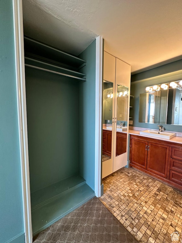 241 N Vine St W Unit 808W, Salt Lake City, UT 84103 - full bath with vanity and french doors