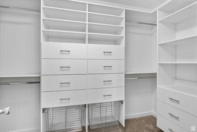 13226 S Cocomo Ct W, Herriman, UT 84096 - walk in closet with dark colored carpet
