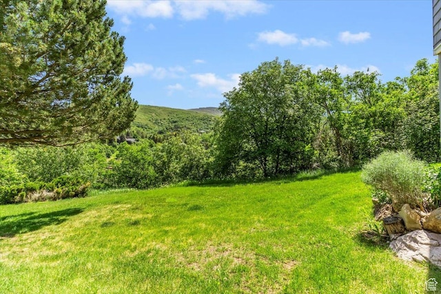 1825 S 1666th Dr E, Bountiful, UT 84010 - view of green lawn