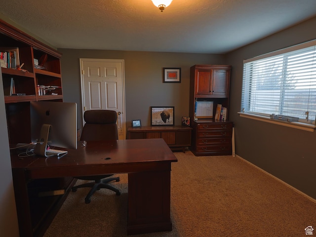 113 N 4950 W, West Point, UT 84015 - office area with light colored carpet and baseboards