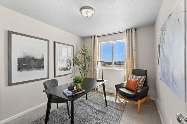 213 E 400 N Unit 980, Saratoga Springs, UT 84045 - office area with carpet, baseboards, and a textured ceiling