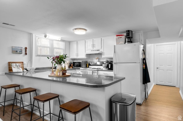 341 N 300 W, Provo, UT 84601 - kitchen with freestanding refrigerator, stove, under cabinet range hood, stainless steel microwave, and a peninsula