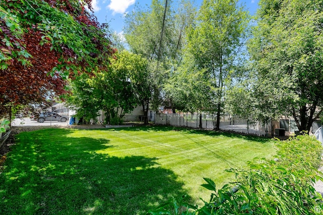 341 N 300 W, Provo, UT 84601 - view of yard