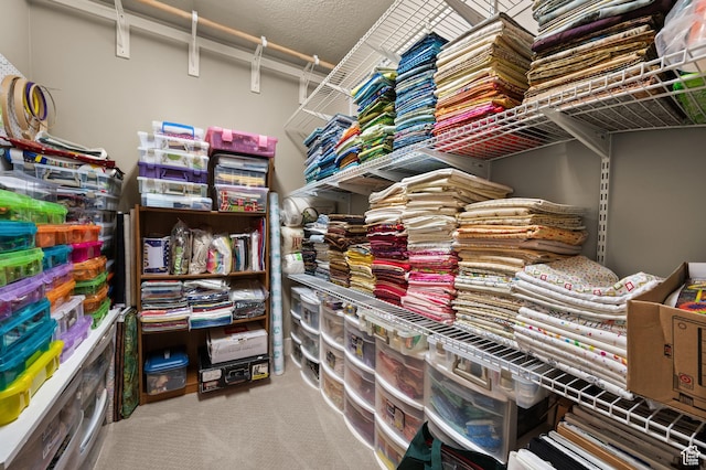 4117 W Shady Plum Way S, Jordan, UT 84009 - view of storage