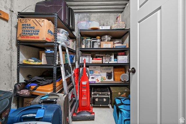 4117 W Shady Plum Way S, Jordan, UT 84009 - view of storage