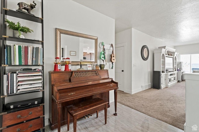 449 Travertine Way, Santaquin, UT 84655 - living area with a textured ceiling, light carpet, and baseboards