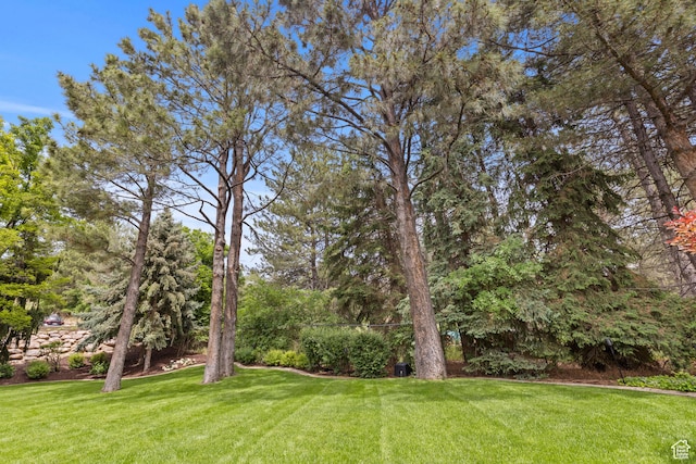 3330 N 175 W, North Ogden, UT 84414 - view of grassy yard