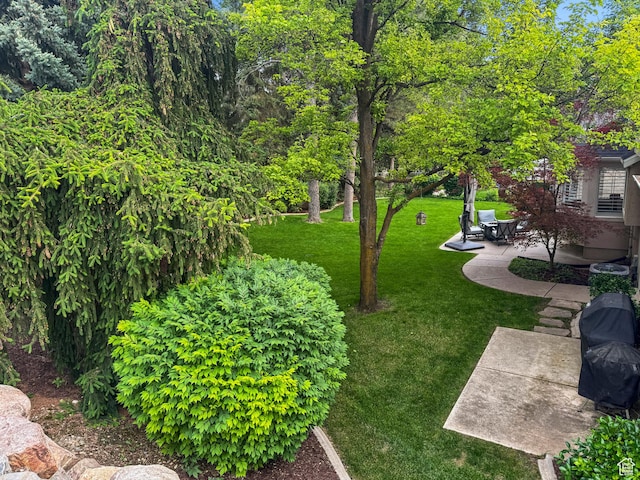 3330 N 175 W, North Ogden, UT 84414 - view of grassy yard featuring a patio