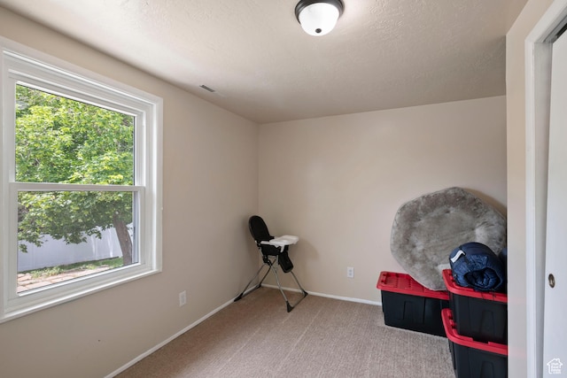 761 N Highland Blvd, Brigham City, UT 84302 - misc room featuring carpet flooring and baseboards