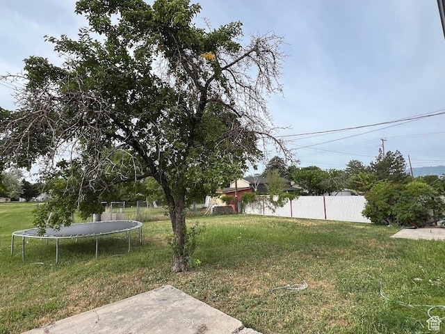 3222 W Tess Ave S, West Valley City, UT 84119 - view of yard featuring a trampoline