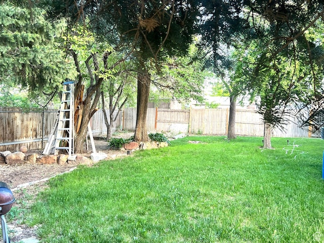 6439 S Clernates Dr, West Jordan, UT 84081 - view of yard