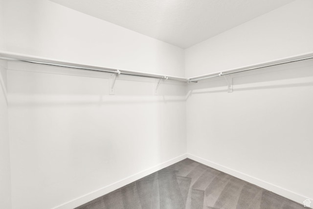 2656 N Bluebell Dr, Saratoga Springs, UT 84045 - photo 48