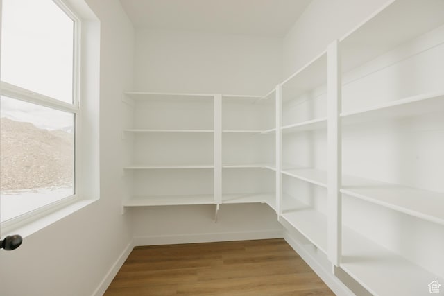3537 E 1120 S Unit 110, Spanish Fork, UT 84660 - view of pantry