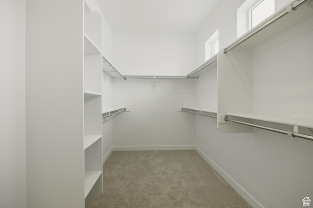 3537 E 1120 S Unit 110, Spanish Fork, UT 84660 - walk in closet featuring light carpet
