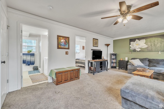 1135 E 220 N, Heber City, UT 84032 - carpeted living area featuring ceiling fan, crown molding, and baseboards
