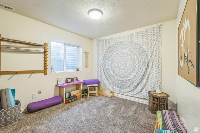 1135 E 220 N, Heber City, UT 84032 - rec room featuring a textured ceiling and carpet