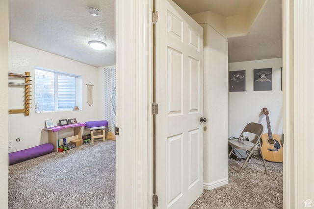 1135 E 220 N, Heber City, UT 84032 - hallway featuring carpet, baseboards, and a textured ceiling