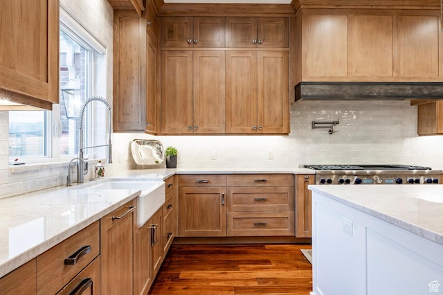 2177 W 9240 S, West Jordan, UT 84088 - kitchen with a sink, dark wood-type flooring, and tasteful backsplash