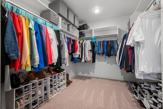 2447 W Santa Fe Dr, Mapleton, UT 84664 - walk in closet with carpet flooring