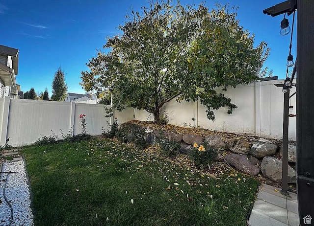 6680 S Leichen Ct, West Jordan, UT 84081 - view of yard