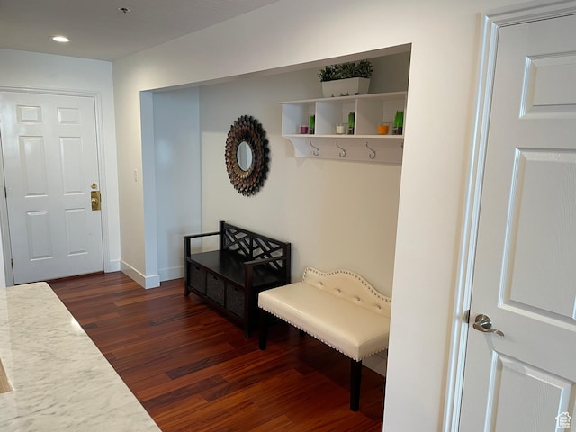 44 W 300 S Unit 1107N, Salt Lake City, UT 84101 - mudroom featuring dark wood finished floors, recessed lighting, and baseboards