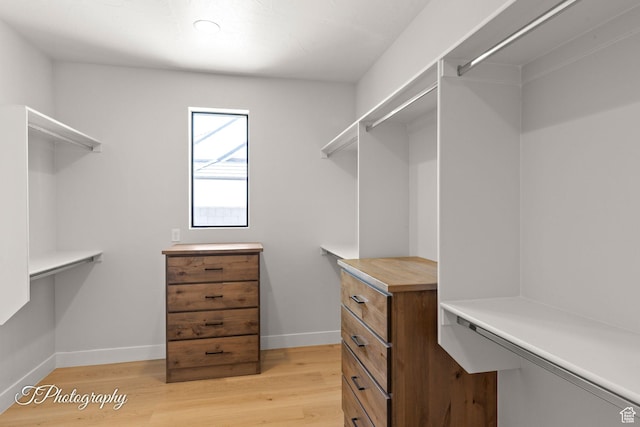 3134 E Blue Heron Dr S, St George, UT 84790 - spacious closet featuring light wood-style floors