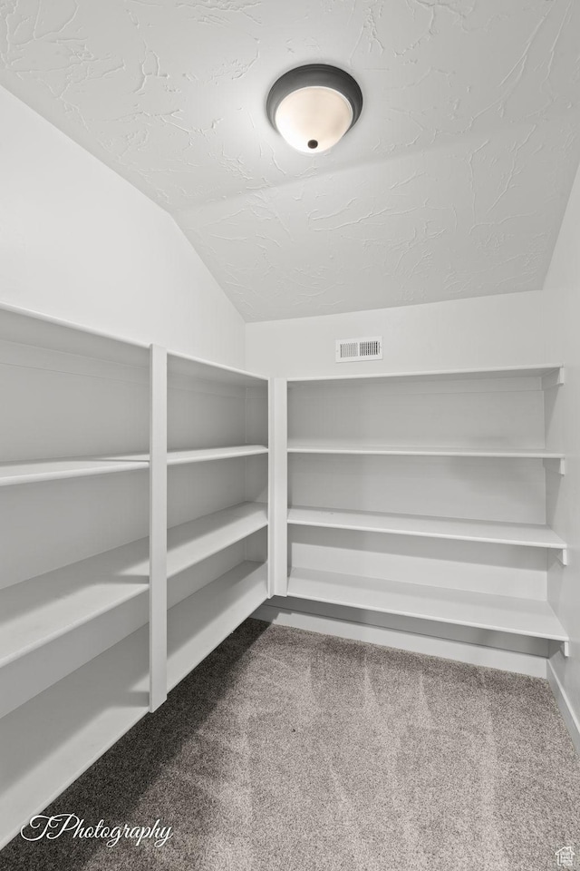 3134 E Blue Heron Dr S, St George, UT 84790 - view of storage