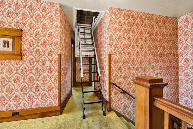 157 N 500 W, Logan, UT 84321 - stairs with wallpapered walls and carpet floors