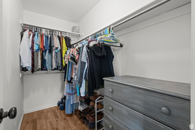79 W 1970 N, Tooele, UT 84074 - walk in closet with wood finished floors