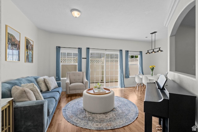 79 W 1970 N, Tooele, UT 84074 - living room featuring arched walkways and light wood-type flooring
