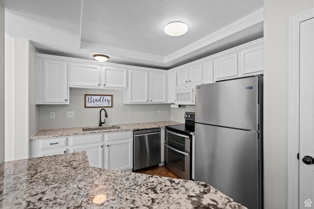 79 W 1970 N, Tooele, UT 84074 - kitchen featuring appliances with stainless steel finishes, a sink, white cabinetry, a raised ceiling, and light stone countertops