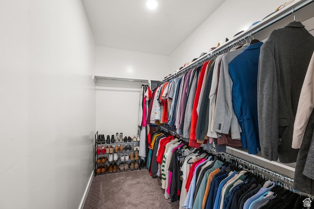 5087 W Rambutan Way S, Jordan, UT 84009 - spacious closet with carpet floors