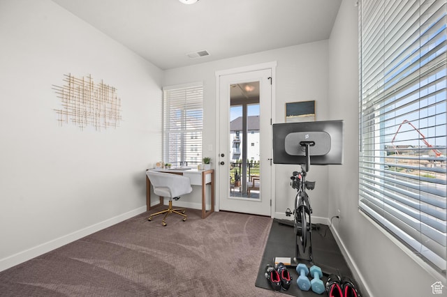 5087 W Rambutan Way S, Jordan, UT 84009 - workout area with baseboards and carpet floors