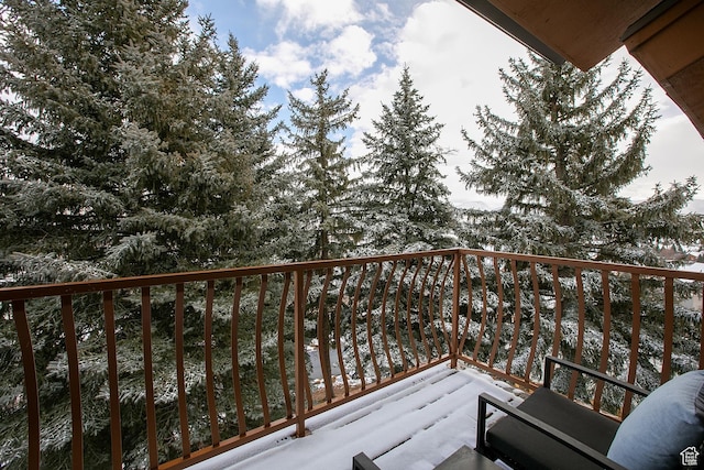 874 W Schneitter Cir Unit 7, Midway, UT 84049 - view of snow covered back of property