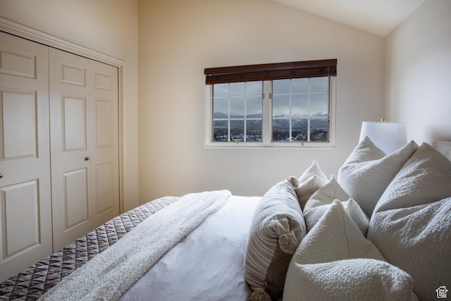 874 W Schneitter Cir Unit 7, Midway, UT 84049 - bedroom with a closet and vaulted ceiling