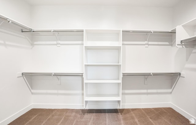 1782 E Bermondsey Ct, Holladay, UT 84117 - walk in closet with carpet
