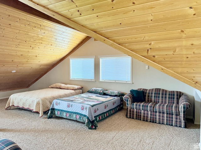 374 Cold Springs Dr, Fish Haven, ID 83287 - photo 29